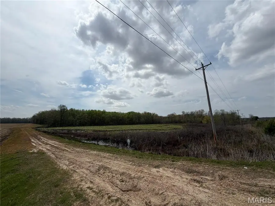 0 S Highway 60 E, Poplar Bluff, MO 63901 - #2