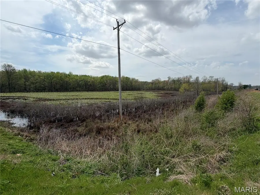 0 S Highway 60 E, Poplar Bluff, MO 63901 - #3