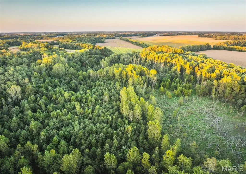 3422 Hagaman Road, Chesterfield, IL 62630 - Image #1