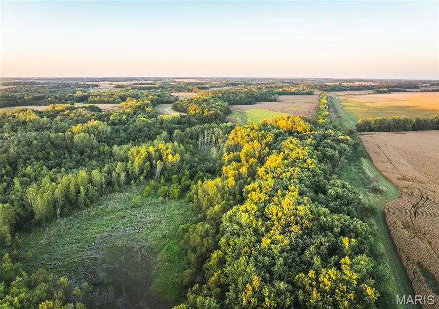 3422 Hagaman Road, Chesterfield, IL 62630 - Image #3