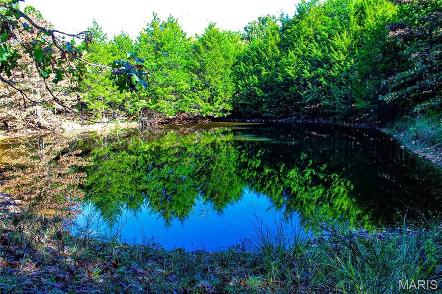 TBD Brownsville Rd, Auglaize, MO 65550 - Image #2