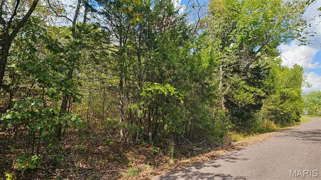 2470 E Squire Road, Lake Sherwood, MO 63357 - Image #1