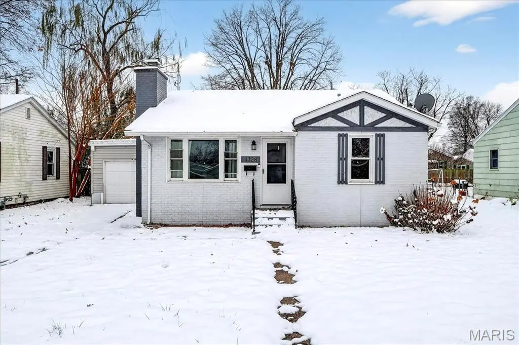 1728 Ferguson Avenue, Granite City, IL 62040 - Image #1