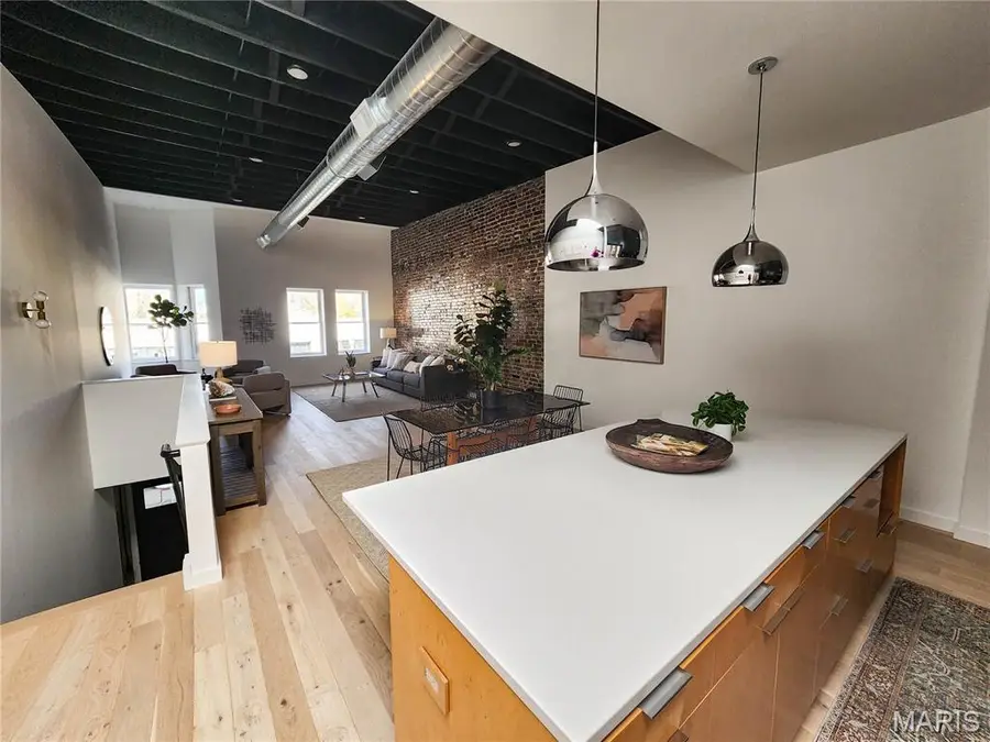 4738 Mcpherson Avenue #201, Saint Louis, MO 63108 - Image #3