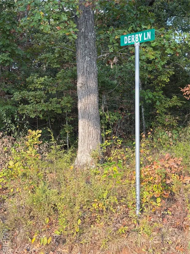 9734 Derby Lane, Bonne Terre, MO 63628 - Image #2