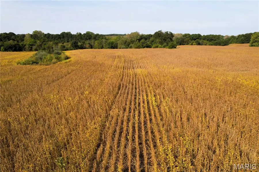 0 Airline Street, Hurdland, MO 63547 - #3