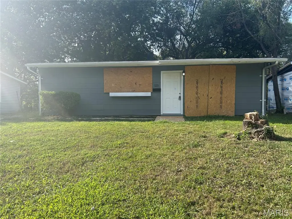 125 Saint Leo Drive, Cahokia, IL 62206 - Image #1