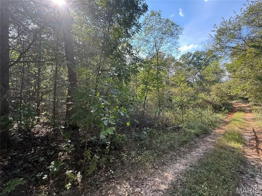 19450 Private Drive 6536, Beulah, MO 65436 - Image #2