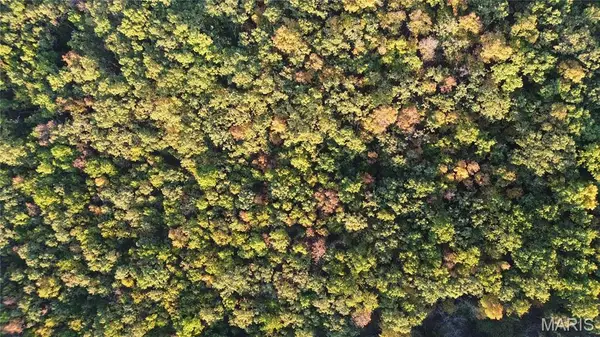 5 acres W Lions Club Dr, Rolla, MO 65401