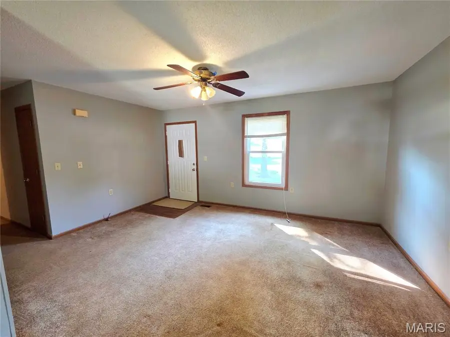 225 Patton Street, Montgomery City, MO 63361 - Image #3