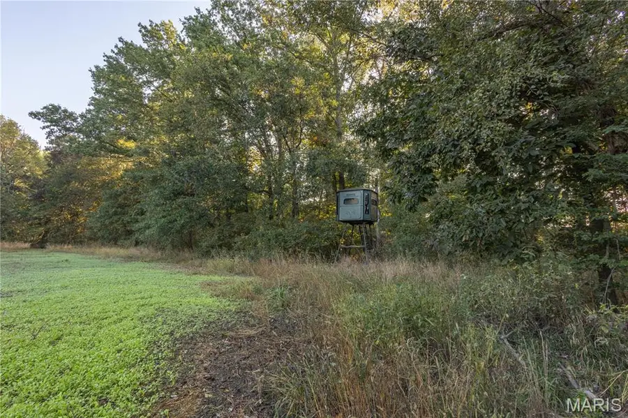 367 Co Road, Kahoka, MO 63445 - Image #3