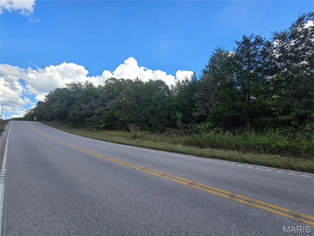 50 Acres Highway E, Cadet, MO 63630 - #1