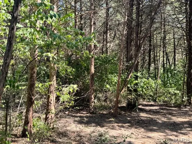 107 Elizabeth Court, Wright City, MO 63390 - Image #2