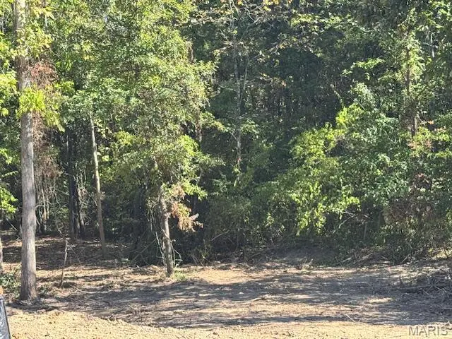 109 Elizabeth Court, Wright City, MO 63390 - Image #2