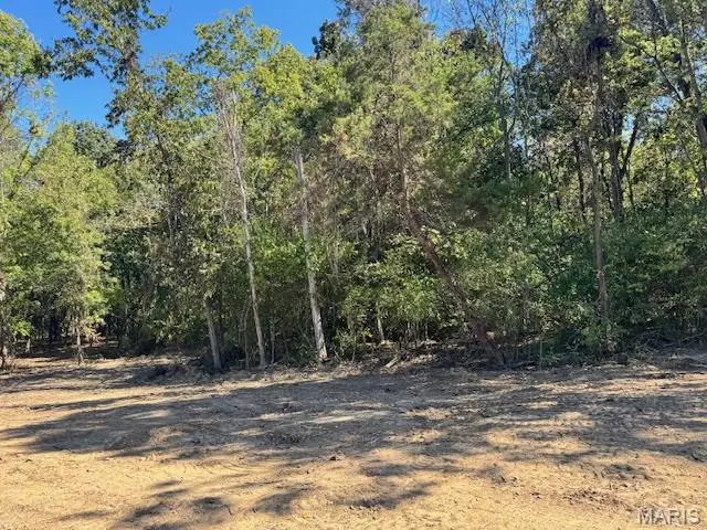 109 Elizabeth Court, Wright City, MO 63390 - Image #3