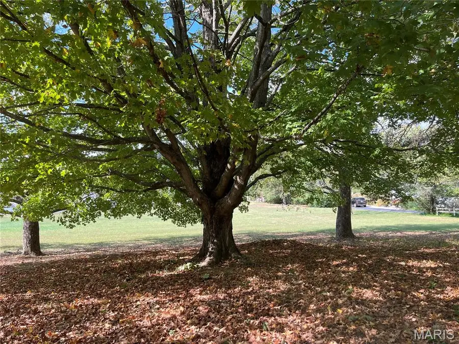 87 County Road 11, Pilot Knob, MO 63663 - Image #3