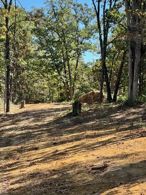 106 Anna Court, Wright City, MO 63390 - Image #3