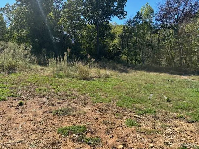 513 W Mineral Street, De Soto, MO 63020 - Image #3