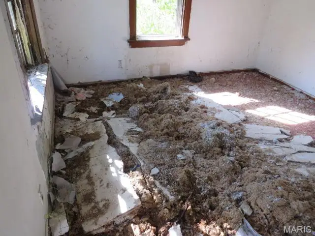 1633 N 50th Street, East Saint Louis, IL 62204 - Image #2