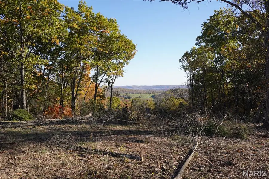 20 Acres Hwy P, Rhineland, MO 65069 - Image #3