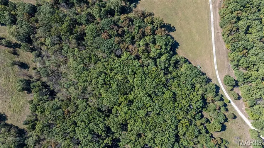 0 8 +/- Acres Tract2 Cr 146, Williamsburg, MO 63388 - Image #3