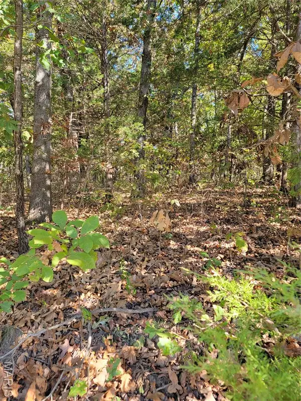 000 Trenton, De Soto, MO 63020