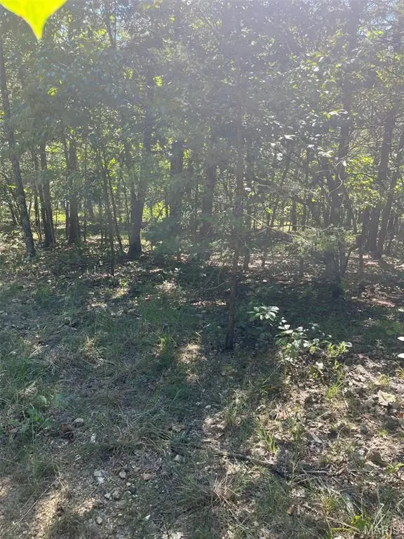 5526 Bon Ron Dr, Hillsboro, MO 63050