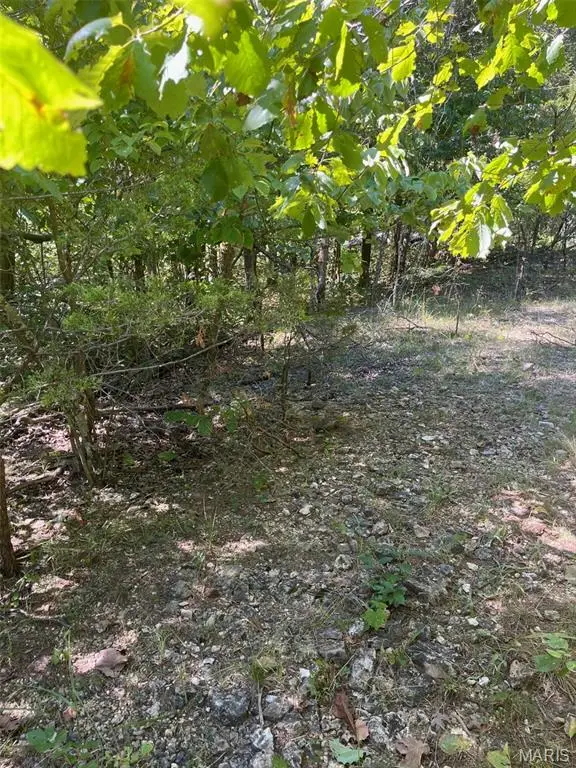 5526 Bon Ron Dr, Hillsboro, MO 63050 - Image #2