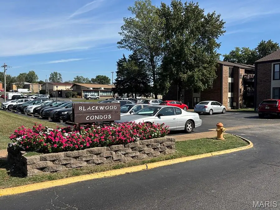 4248 Kay Lane #9, Saint Louis, MO 63123 - Image #2