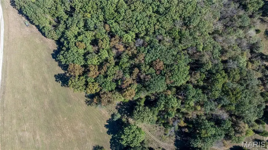 0 8.5 +/- Acres Tract3, Cr 146, Williamsburg, MO 63388 - Image #2