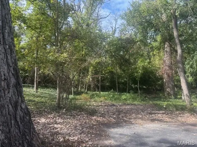 5 Whitfield Lane, Ladue, MO 63124 - Image #3