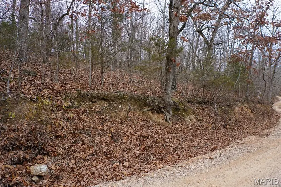 Tract D Holiday Lane, Dixon, MO 65459 - Image #2