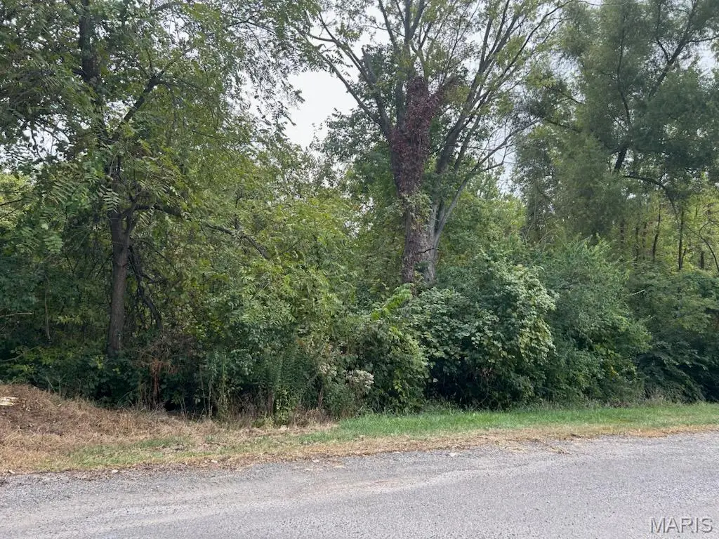 TBD N Cole Street, Vandalia, IL 62471 - #1