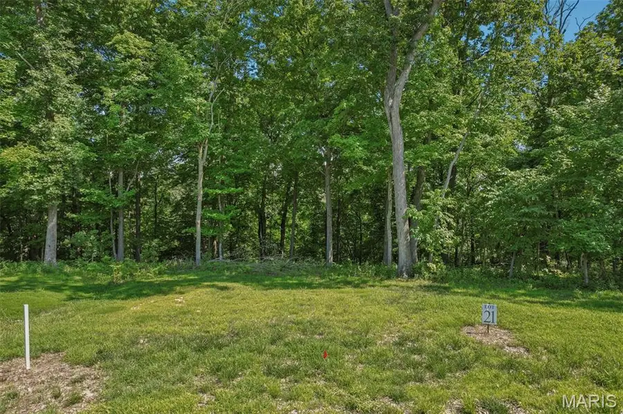 8 Forest Ridge Lane, Litchfield, IL 62056 - Image #3