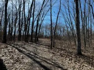 Lot 8 Decora Court, Elsberry, MO 63343 - #3