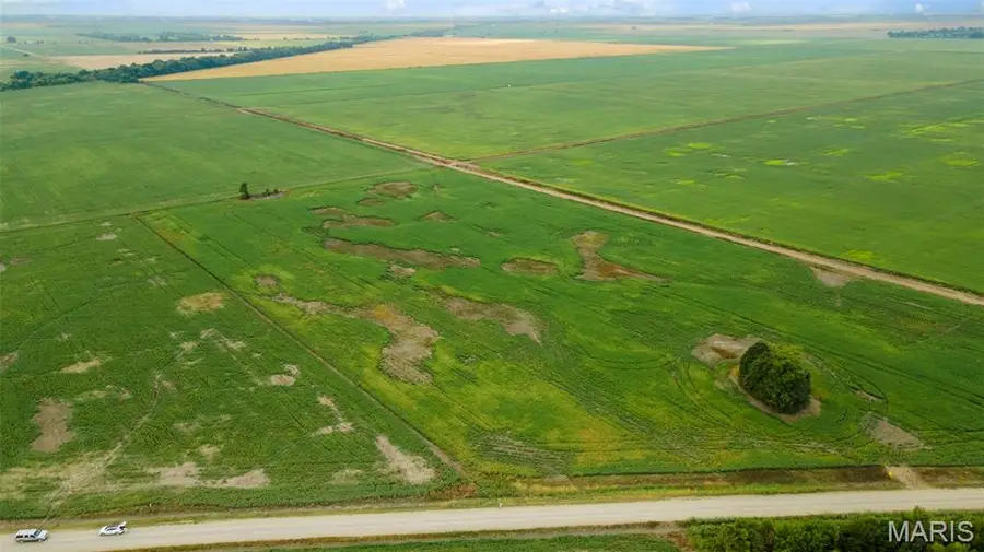 0 County Road 264/265, Hayti, MO 63851 - Image #3