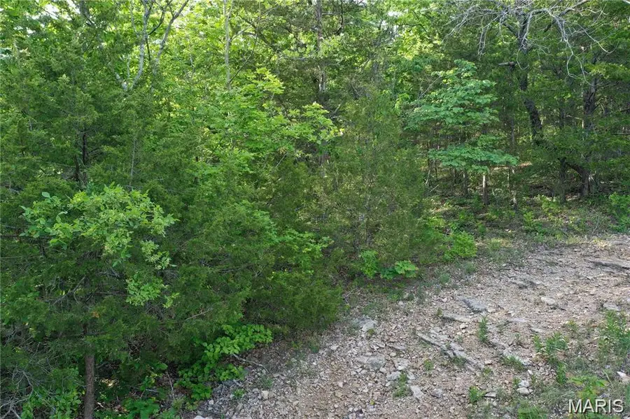 7664 Vista Drive, Cedar Hill, MO 63016 - Image #3