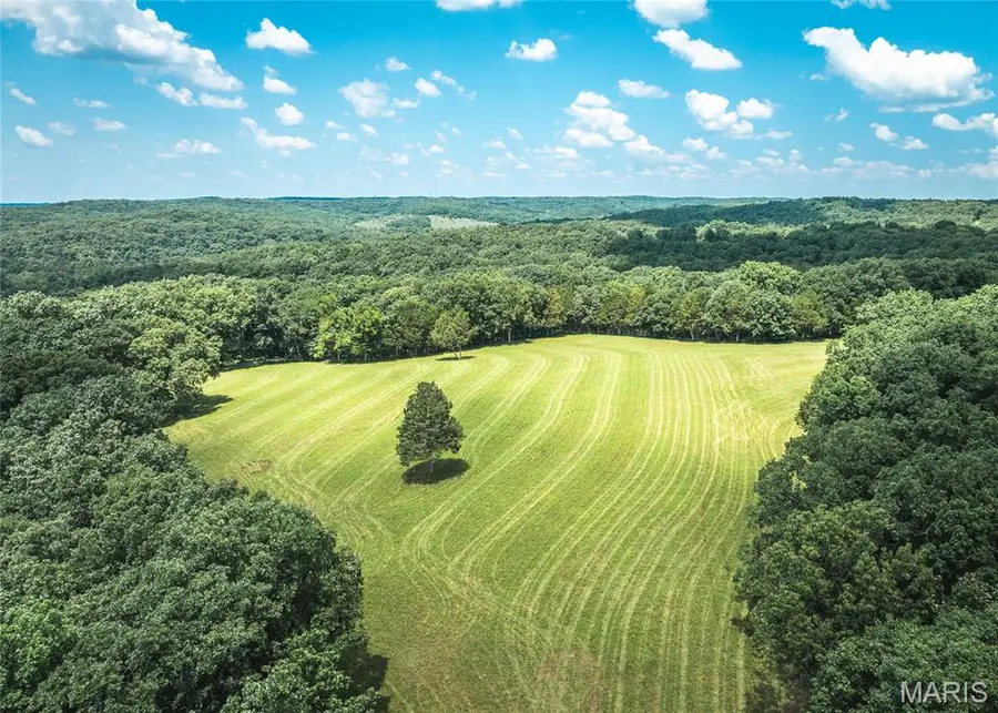 0 Scanlon Drive, De Soto, MO 63020 - Image #3