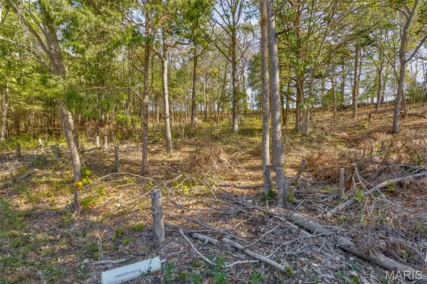 9632 Moonshine Drive, Hillsboro, MO 63050