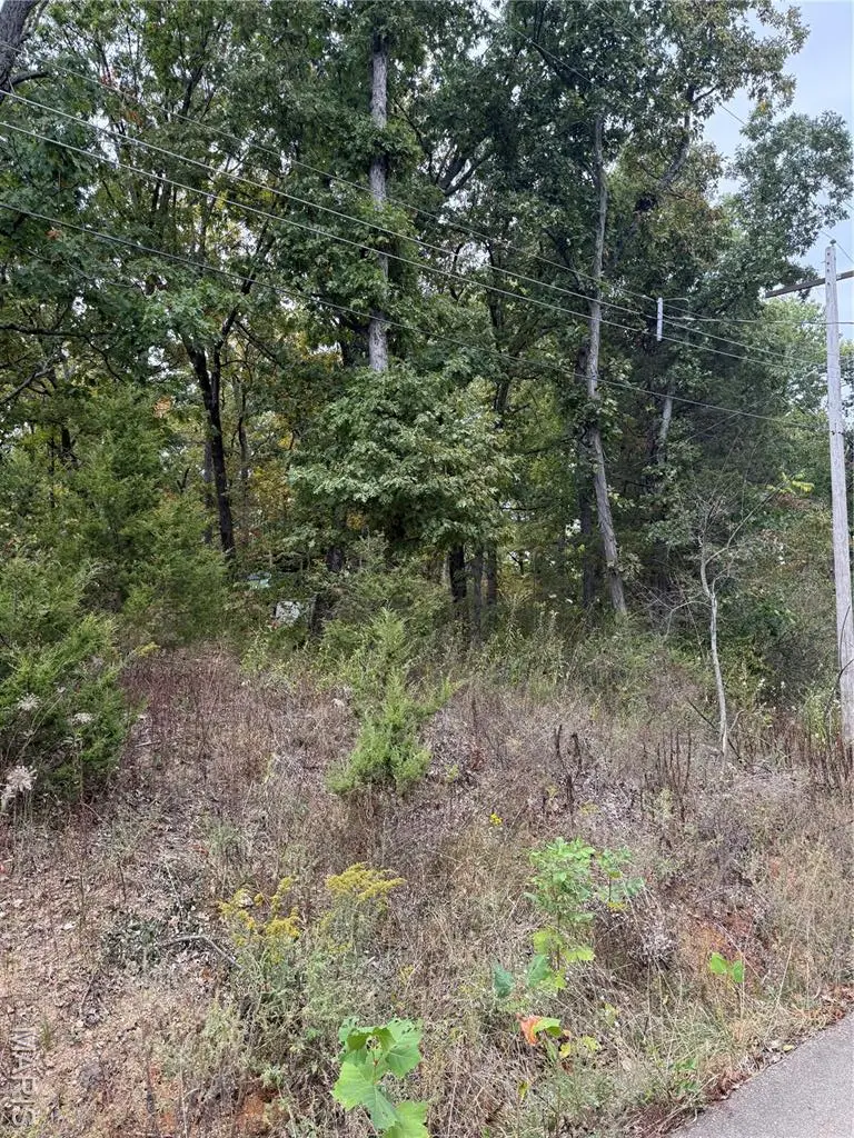 6234 Osage, French Village, MO 63036 - Image #3