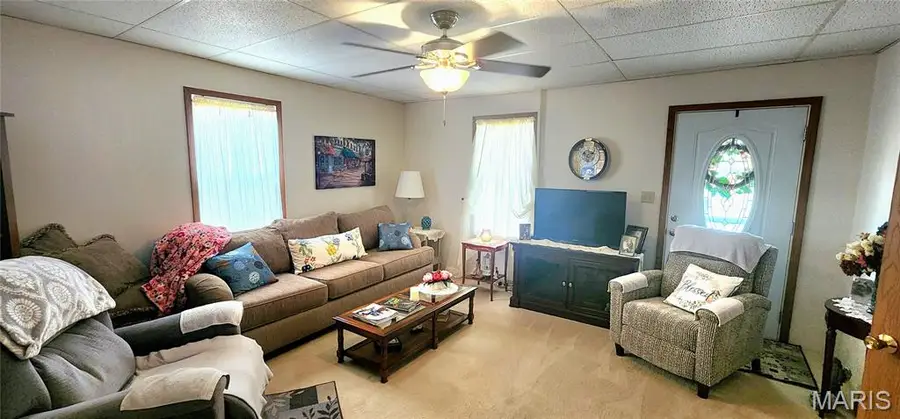 215 E 1st Street, Ellis Grove, IL 62241 - Image #3