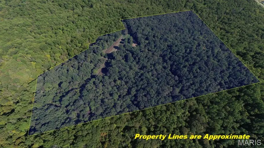 0000 Forest Road, Ava, IL 62907 - Image #3