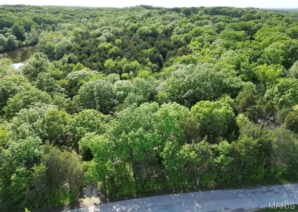 9041 Rye Creek Road, Lonedell, MO 63060