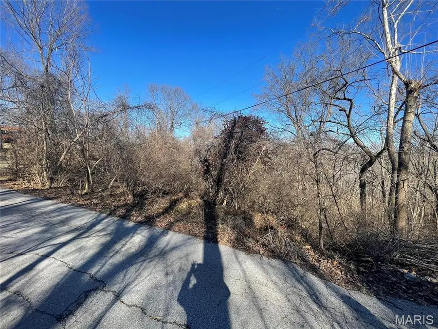 3333 Ketha Circle, Festus, MO 63028 - Image #3