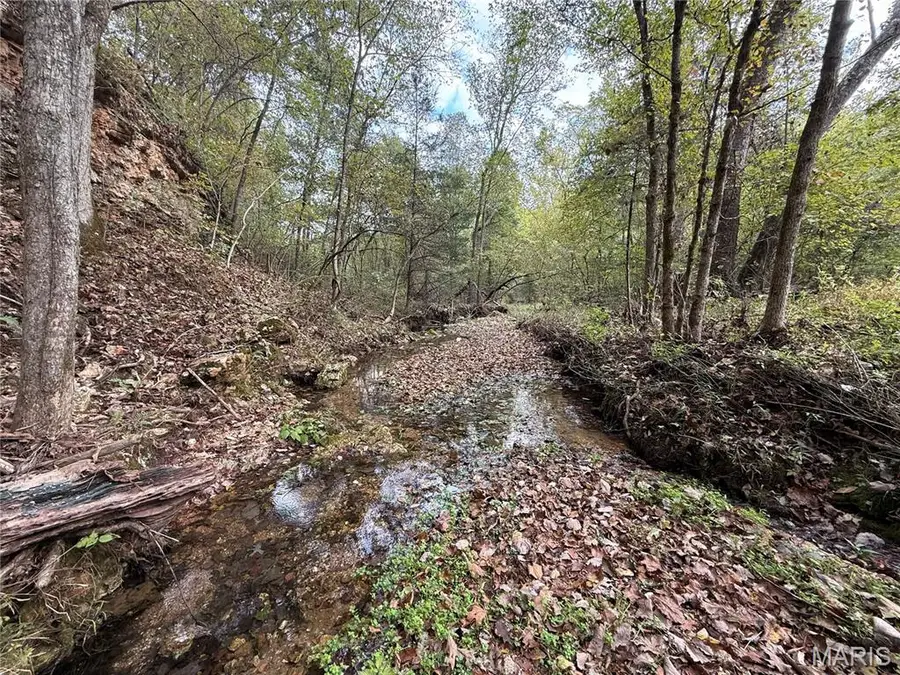 Long Spring Long Spring Road, Steelville, MO 65565 - Image #2