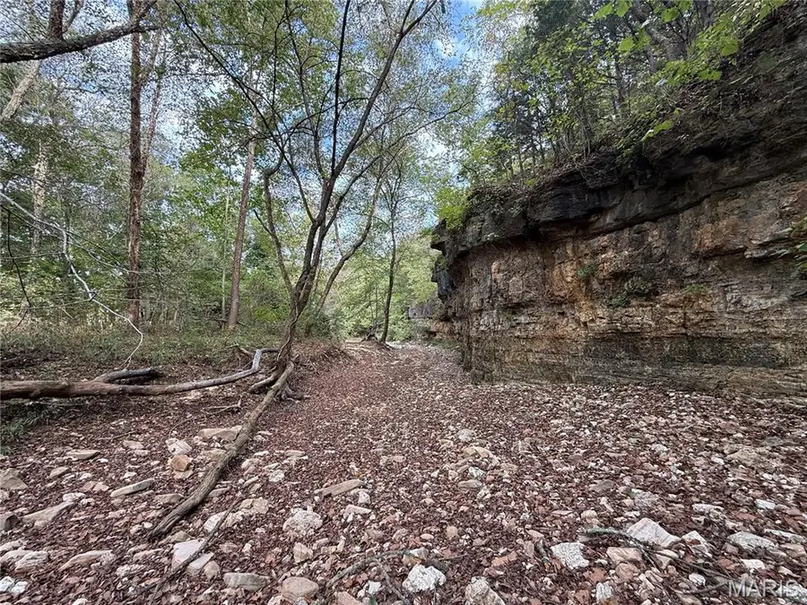 Long Spring Long Spring Road, Steelville, MO 65565 - Image #3