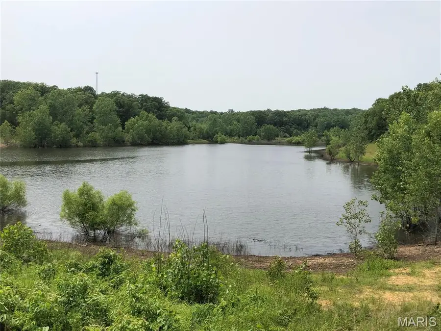 0 State Route 21, De Soto, MO 63020 - Image #2