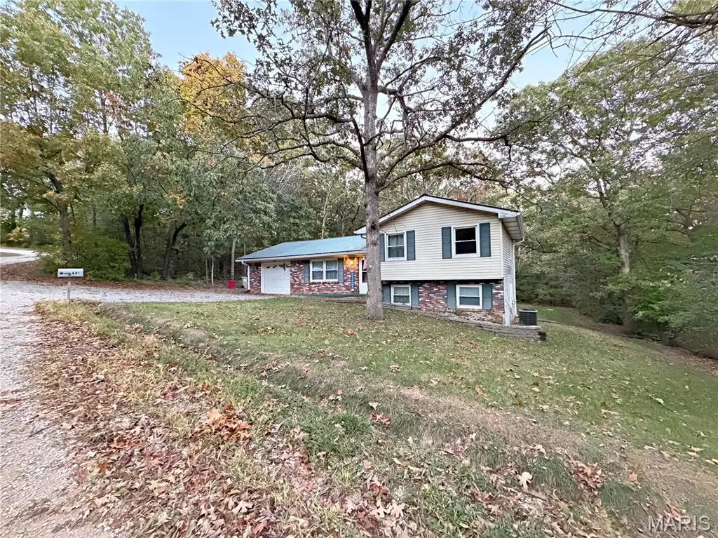 441 Jardin Place, Bonne Terre, MO 63628 - Image #1