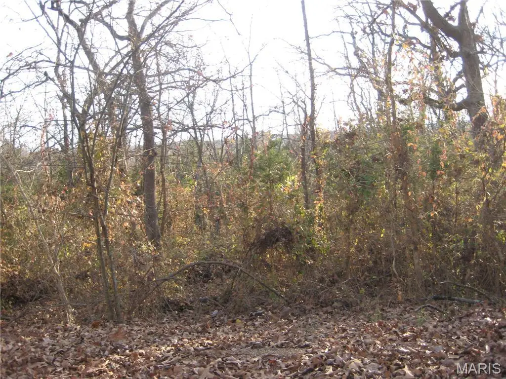 100 Kennett Street, De Soto, MO 63020 - Image #1