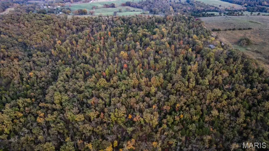 18927 Rocky Top Road, Elk Creek, MO 65464 - Image #3